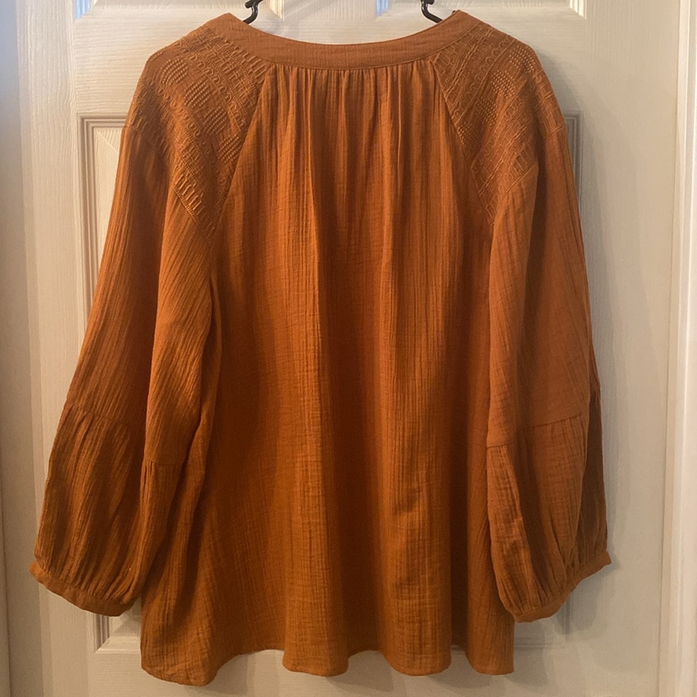 WONDERLY Rust V-Neck Blouse - Picture 11 of 12